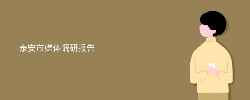 泰安市媒体调研报告