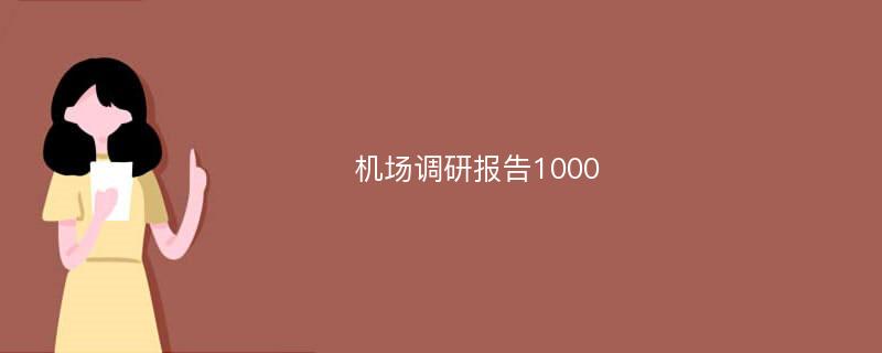 机场调研报告1000