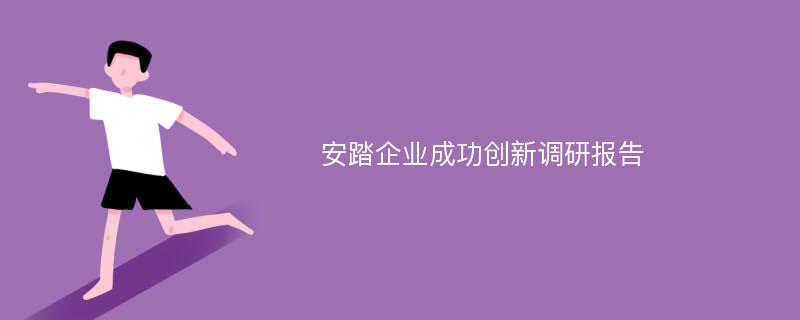 安踏企业成功创新调研报告